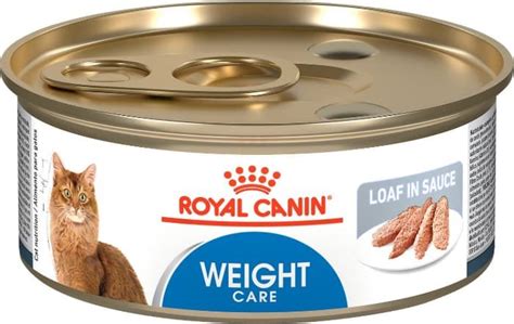 best canned cat food for weight loss|healthy low calorie cat food.